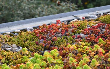 the cost of Cornsay green roof installation