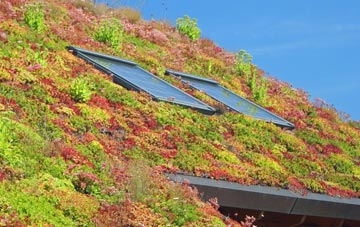 Cornsay living roof systems