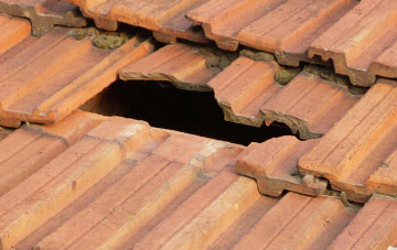 roof repair Cornsay, County Durham
