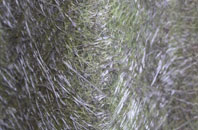 Cornsay fibreglass roof work